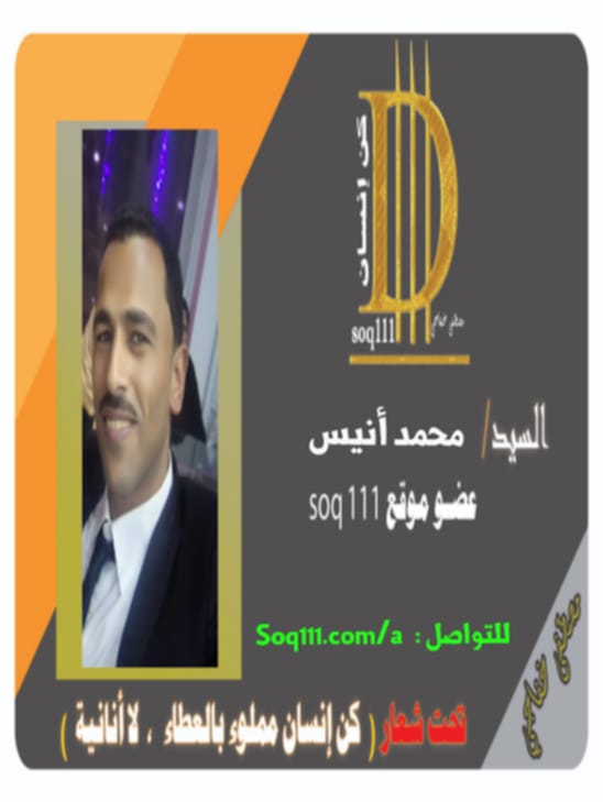 معرض الصور